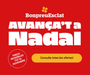 300x250_Avança't a nadal_Lleida Magazine 300x250_Avança't a nadal_Lleida Magazine